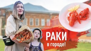 Раки в городе! Гастропутешествие в Ростов-на-Дону