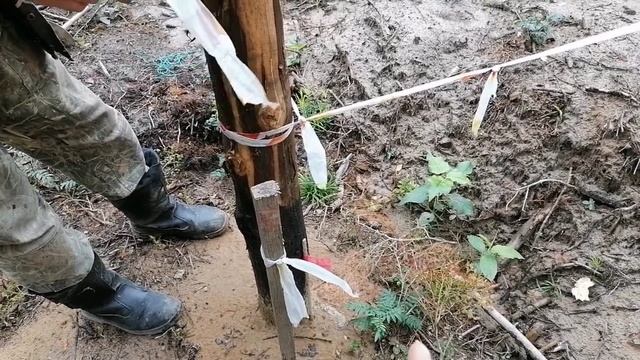 А вот и новый заезд для машины