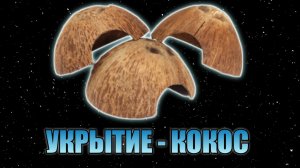 КРАСИВОЕ УКРЫТИЕ ИЗ КОКОСА ДЛЯ ЭУБЛЕФАРА СВОИМИ РУКАМИ