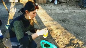 ЗАБРОШЕННАЯ ДАЧА в процессе благоустройства. Посадка огурцов в открытый грунт. Вишневый сад..mp4