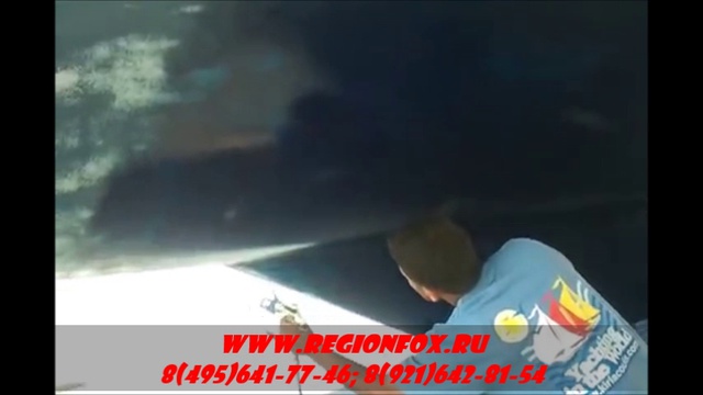 Где купить окрасочное оборудование Graco ST Max 495? смотреть онлайн