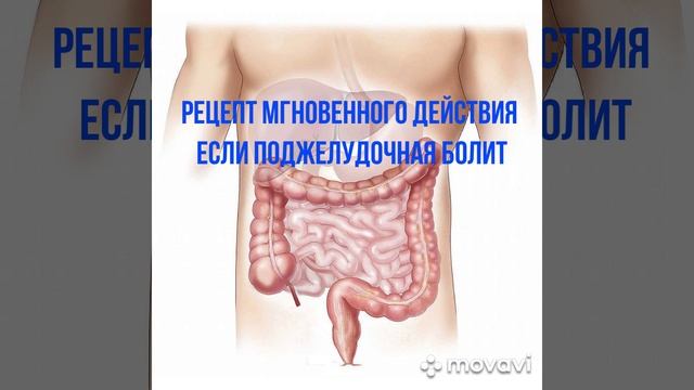 Рецепт мгновенного действия, если поджелудочная страдает.