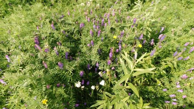 Воркута 2021.Воркута сегодня часть 2 смотреть онлайн