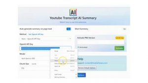 Youtube Transcript AI Summary  - Browser Extension -  Free Version