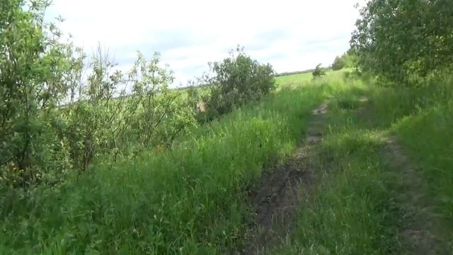 тест камеры СОНИ HDR-330E  Коп с ЭКВИНОКС