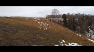 Советск (Кировская обл.). Ноябрь