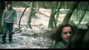 История Рона и Гермионы