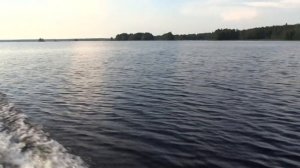 Касатка 385 спорт «--» Tohatsu MFS 9.9 ES