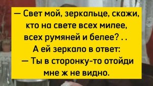 — Свет мой, зеркальце, скажи, кто на свете всех милее, всех румяней и белее? ....