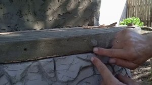 декоративный пенёк " трон из арт бетона"