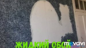 RSAC NBA Жидкий обой