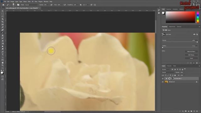 ⏩ Как изменить цвет объекта в Photoshop — Hue/Saturation | урок Photoshop 2022 | KatalProject смотреть онлайн