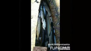 Охота и рыбалка в Якутии