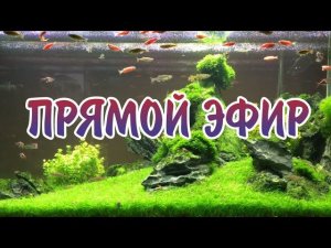 Не много поговорим