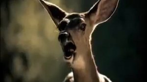 Выпуск №21 :: Ржака до Слез