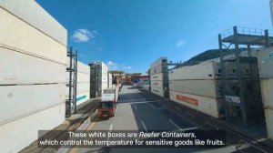 HMM - What Goes on in a Container Terminal? Focused on HPNT in Busan