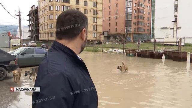 Жильцы одной из улиц Махачкалы требуют установить ливневки смотреть онлайн
