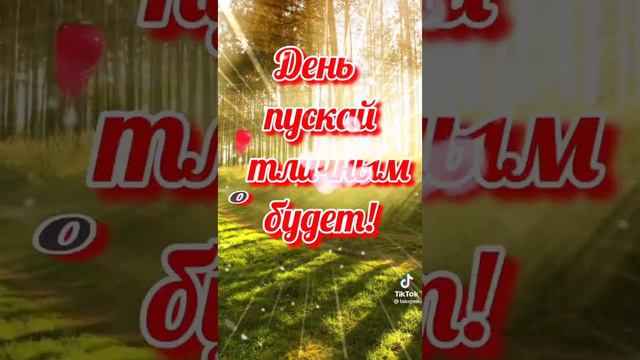 Доброго дня! 🌻🌻🌻 #поздравление #картинки #видео #день