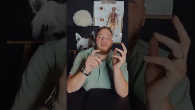 Диагностика собственного тела. Проекционные зоны. смотреть онлайн