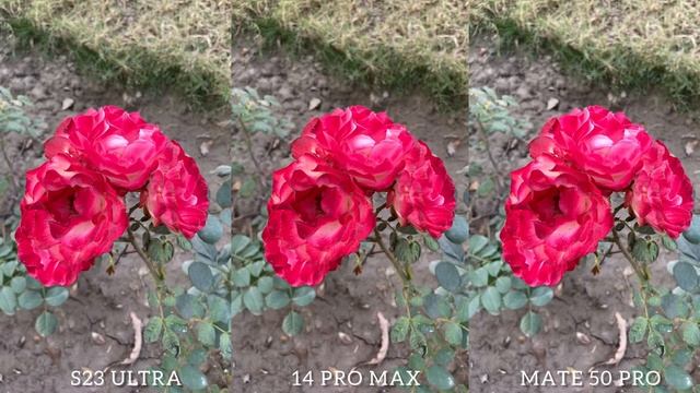 Samsung Galaxy S23 Ultra VS iPhone 14 Pro Max VS Huawei Mate 50 Pro Camera Test Comparison смотреть онлайн