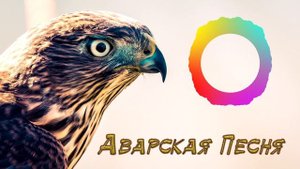 Аварская Песня 2019 (Лезгинка 2019)