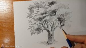 how to draw a tree как нарисовать дерево