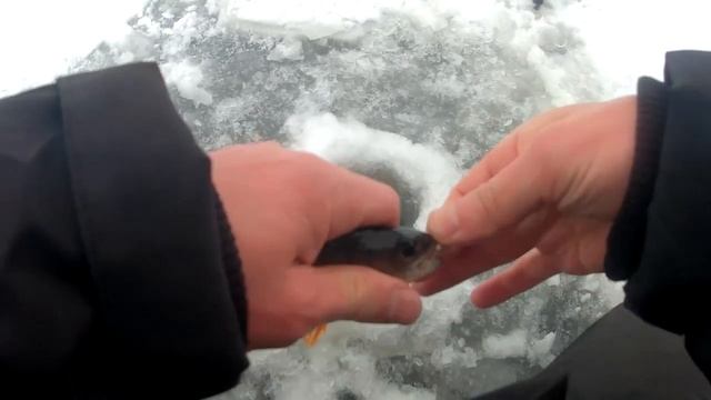 ЗИМНЯЯ РЫБАЛКА НА МОРМЫШКУ 2019-2020. Рыбалка в Карелии на озере Машезеро. смотреть онлайн