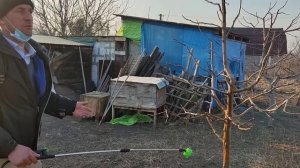 Перша весняна обробка саду, від грибкових захворювань залізним купоросом.