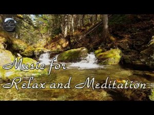 30 минут расслабляющей музыки для медитации, отдыха или сна