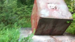 КУБ в лесу