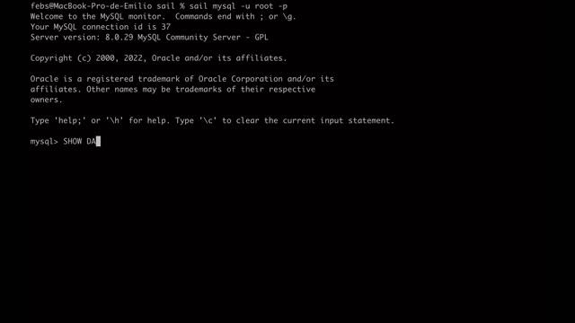 Acceder a Mysql desde Laravel Sail 2022 смотреть онлайн