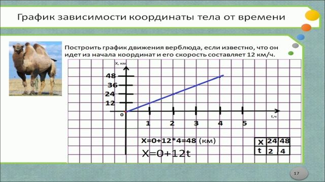 График координаты