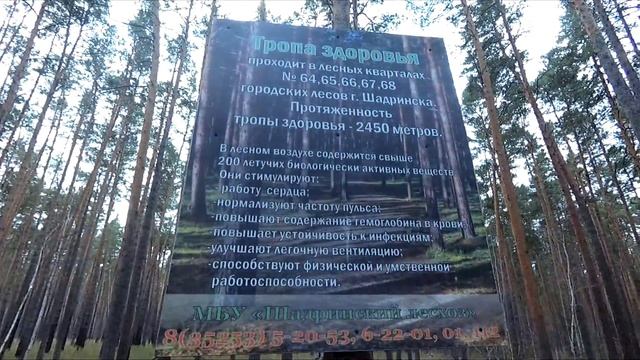 Полумарафон на минеральный источник в Шадринске