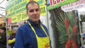 Мёд. Какой выбрать, как употреблять...