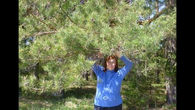 Выткался на озере - поёт Андрей Бандера смотреть онлайн