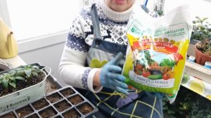 Посев ПЕРЦА. Как подготовила семена и почему выбирала в этом году погорячее?