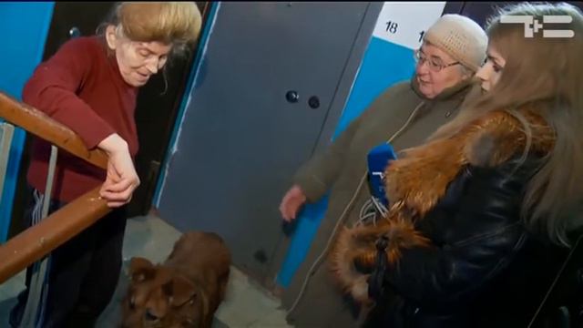 История с душком - «Утро с Вами» 30.11.2016 смотреть онлайн