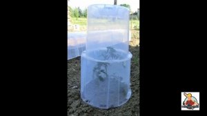 Необычные теплицы на садовом участке/Зимний сад/Сделай сам/Своими руками/У соседей лучше.