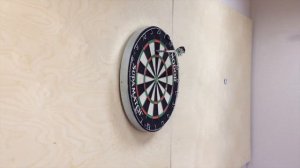 Дартс - игра "сектор 20"