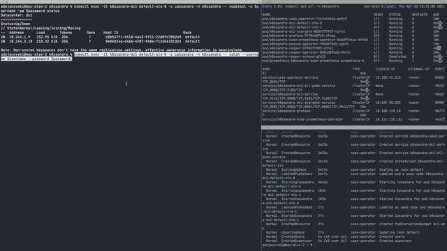 K8ssandra 1.1 Walkthrough Featuring MinIO Backup смотреть онлайн