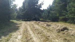 Долгожданный сенокос. Толкушка для сена.