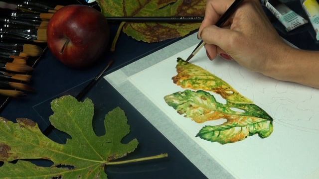 Акварель."Опавший листок".Серия Краски осени". Ludmilla Filippova. "Рисуем вместе". смотреть онлайн