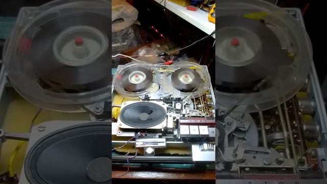Работа магнитофона Telefunken Magnetophon 300TS после профилактики.