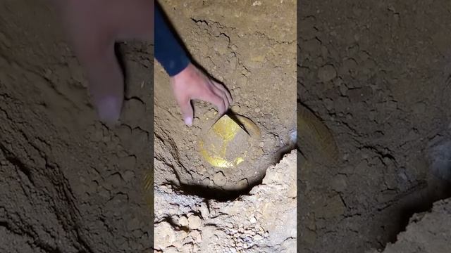 Cave treasure hunt, accidentally dug up treasure buried for millions of years underground