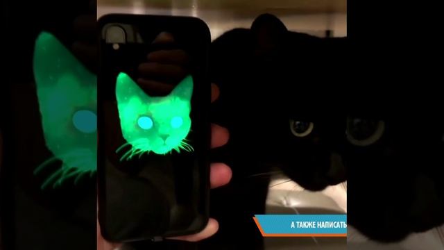 LED чехол. Ссылка в описании