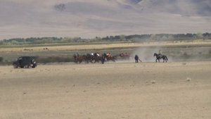 Открытие скакового сезона Республики Алтай с. Кош-Агач 04.06.2022 год. Мугражев Болатжан 2400 м