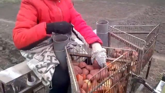 Самодельный трактор из мотоблока Зубр смотреть онлайн