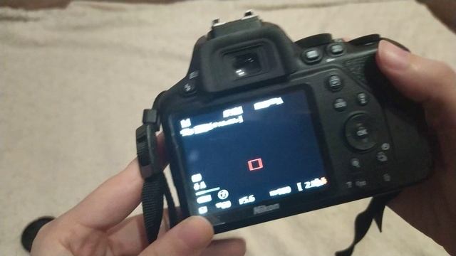 Мне пришел фотик | ОБЗОР на Nikon d3500 - примеры фото смотреть онлайн