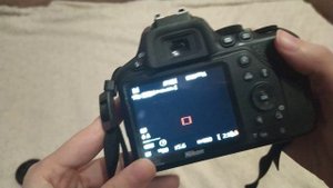 Мне пришел фотик | ОБЗОР на Nikon d3500 - примеры фото