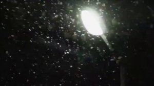 Би2 и Чичерина - Падает снег.